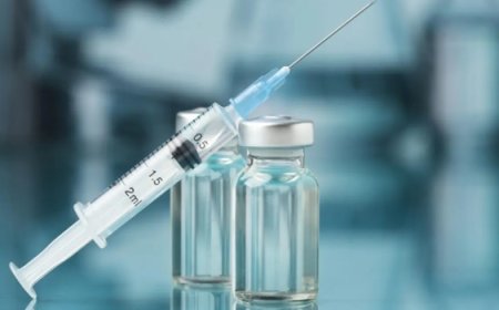 Anvisa aprova vacina do Butantan de dose única contra a dengue