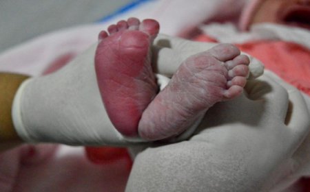 Hospital Estadual de Formosa ultrapassa mil partos humanizados e consolida referência regional em assistência materno-infantil