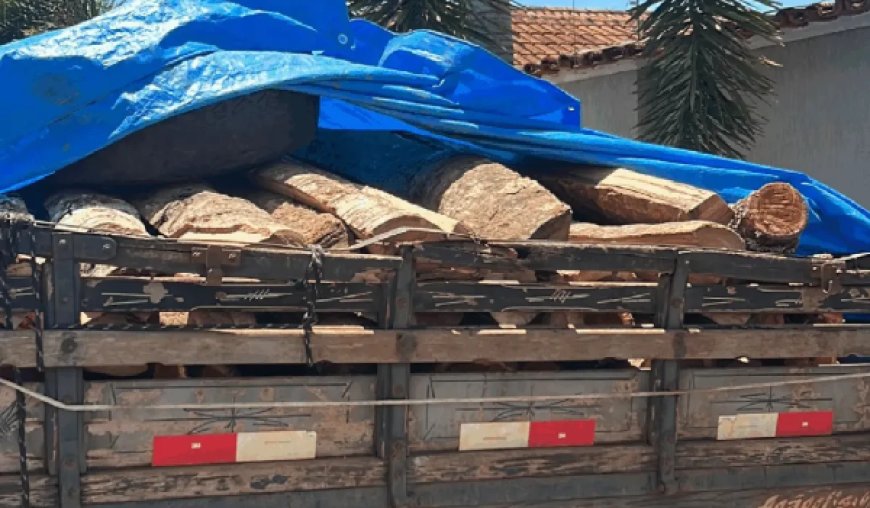 Homem é preso com caminhão de madeira ilegal em Jaraguá