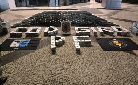 PM apreende caminhão carregado com cocaína avaliada em R$ 37 milhões, em Goiás