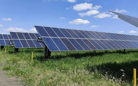 PM registra furto de cabos de usina solar, em Jaraguá