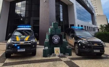 Casal é preso com mais de 1 tonelada de cocaína em Goiás e no Tocantins