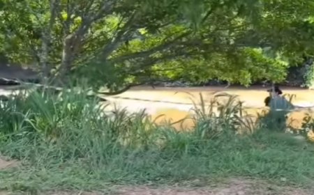 Tragédia em Jaraguá: jovem perde a vida após afogamento no Rio das Almas