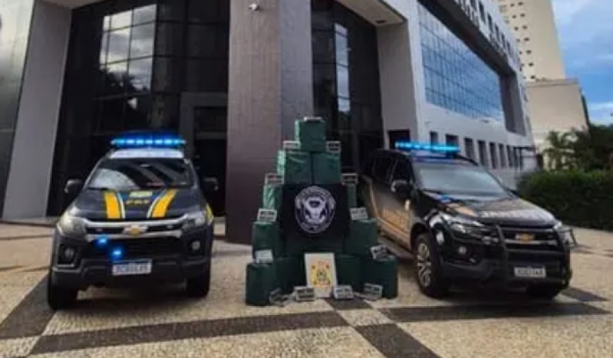Casal é preso com mais de 1 tonelada de cocaína em Goiás e no Tocantins