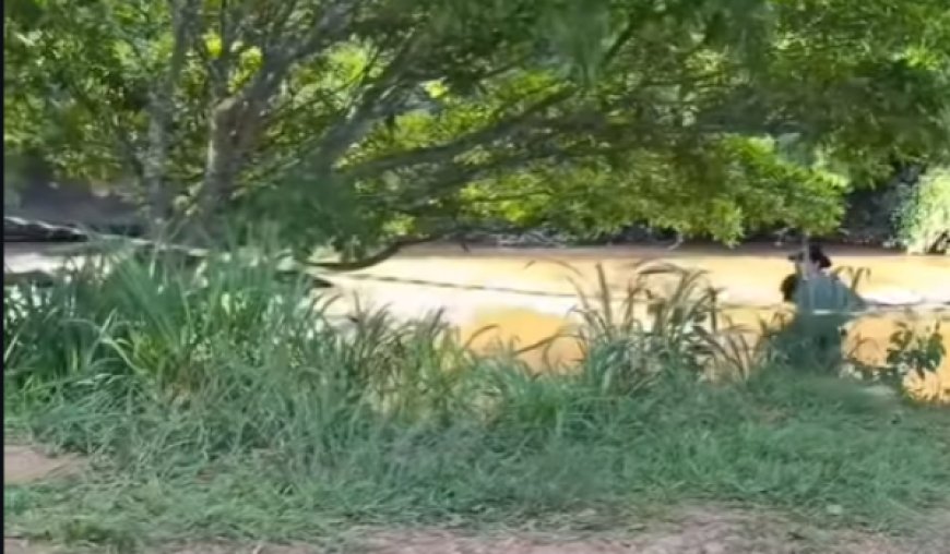 Tragédia em Jaraguá: jovem perde a vida após afogamento no Rio das Almas