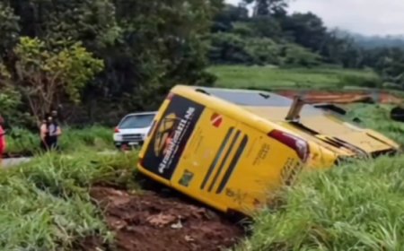 Passageiros ficam feridos após ônibus tombar entre Petrolina e Nerópolis
