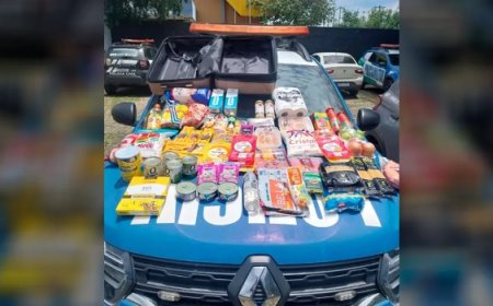 Delegada presa por furtar mercado em condomínio de luxo foi aposentada por doença mental