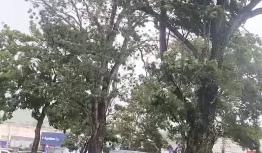 Temporal causa transtorno em vários pontos de Ceres, defesa civil é acionada