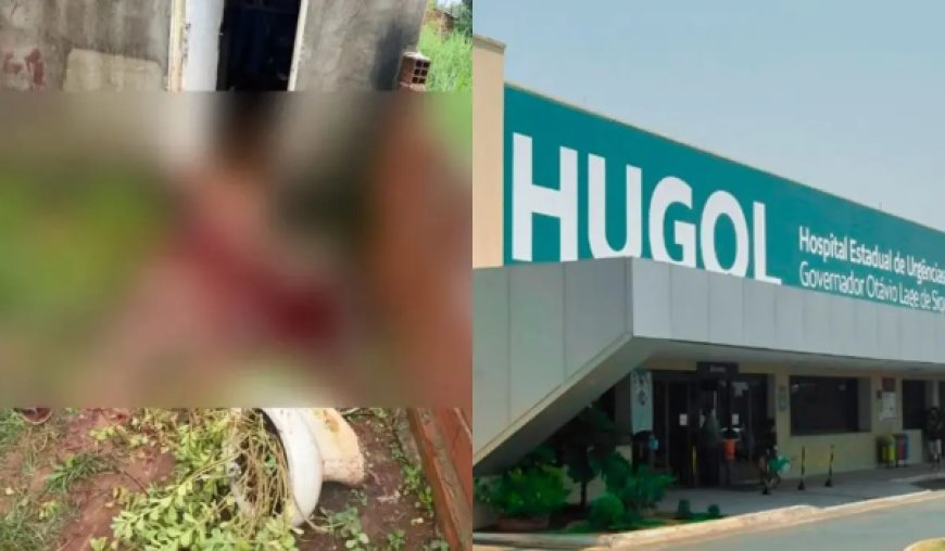 Homem é morto com facada no peito após defender idosa agredida pelo próprio filho, em Trindade