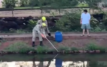 Frequentadores da praça se assustam com cobra em lago e acionam Bombeiros