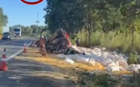 Caminhão carregado com milho capota na BR-153, entre Rianápolis e Jaraguá
