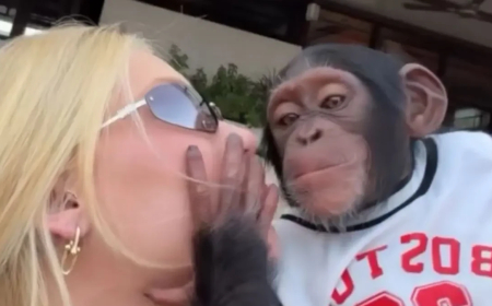 ‘Que pegada’: Virginia beija macaco na boca em Dubai
