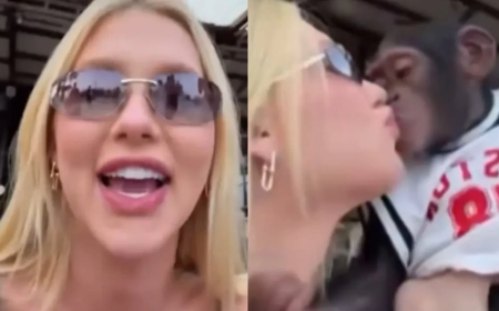 Vídeo de Virginia beijando macaco acende alerta sobre transmissão de doenças; entenda