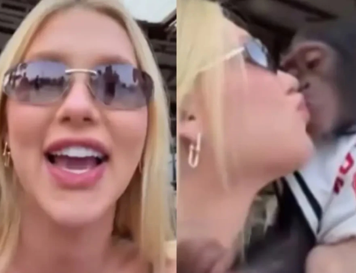 Vídeo de Virginia beijando macaco acende alerta sobre transmissão de doenças; entenda