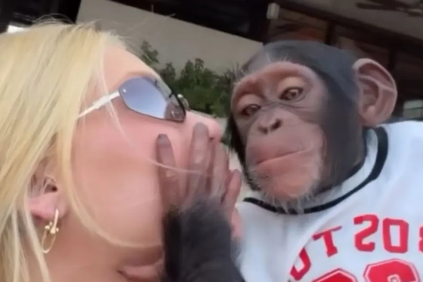 ‘Que pegada’: Virginia beija macaco na boca em Dubai