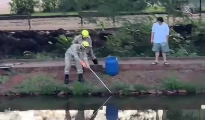 Frequentadores da praça se assustam com cobra em lago e acionam Bombeiros