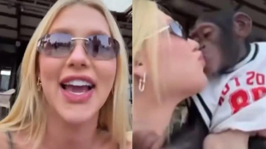 Vídeo de Virginia beijando macaco acende alerta sobre transmissão de doenças; entenda