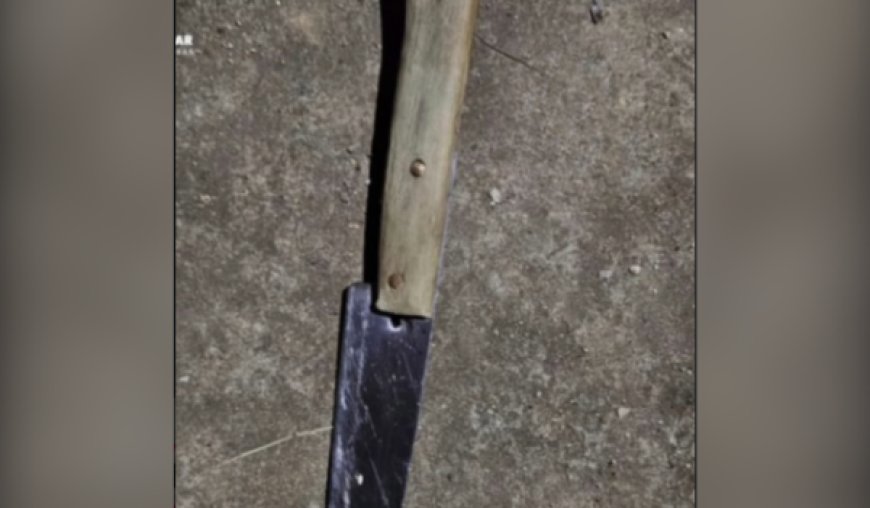 Conflito entre irmãos termina em tentativa de homicídio em Rialma