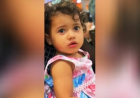 Caso Maria Fernanda: golpistas usam tragédia para pedir dinheiro em nome de família goiana
