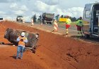 Motorista perde controle da direção e carro capota na BR-153 em Rialma