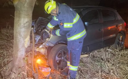 Seis pessoas ficam feridas durante acidente na GO-080, próximo à Fricó