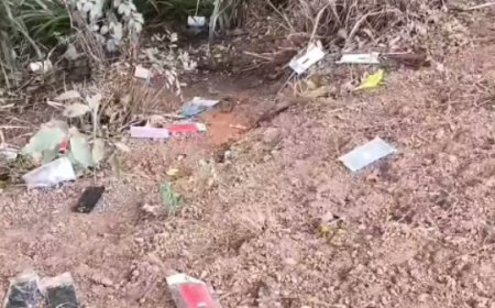 Possível descarte irregular de celulares é registrado na BR-153, em Rialma