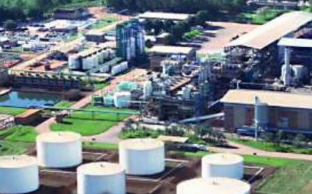 Jalles tem prejuízo de R$ 50,9 milhões no 4º trimestre de 2025/26, mas encerra ciclo no azul