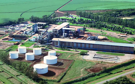 Jalles tem prejuízo de R$ 50,9 milhões no 4º trimestre de 2025/26, mas encerra ciclo no azul