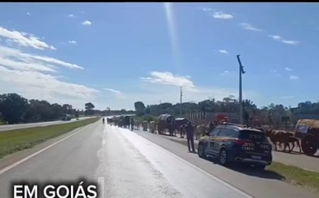 Romaria do Divino Pai Eterno: grupo de 50 romeiros cruza rodovia sob orientação da PRF