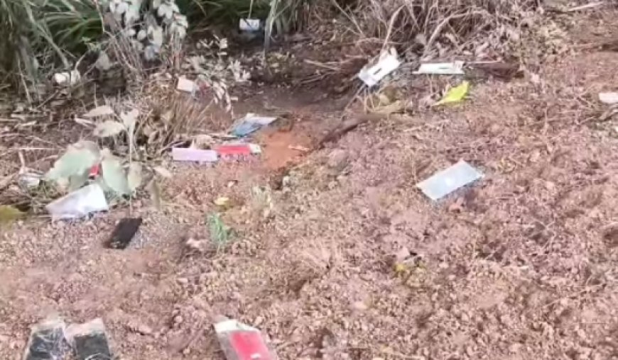 Possível descarte irregular de celulares é registrado na BR-153, em Rialma