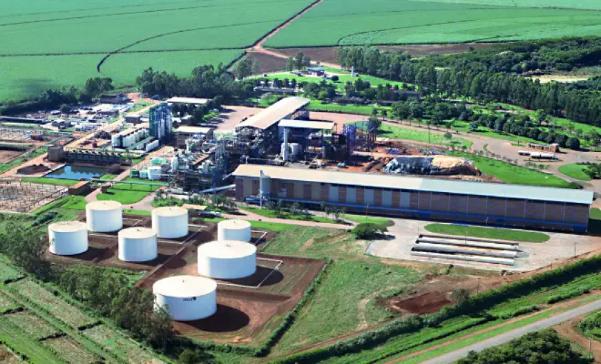Jalles tem prejuízo de R$ 50,9 milhões no 4º trimestre de 2025/26, mas encerra ciclo no azul