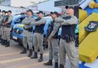 Mais de 6 quilos de drogas são apreendidos pela Polícia Militar em Rialma