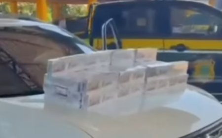 PRF apreende cerca de 20 mil maços de cigarro contrabandeados e prende motorista em Mineiros (GO)